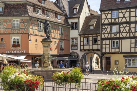 Old Town and Schwendi Fountain in Colmar