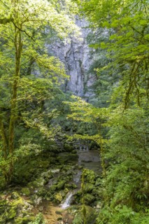 Valley of the Lison at the Source du Lison near Nans-sous-Sainte-Anne