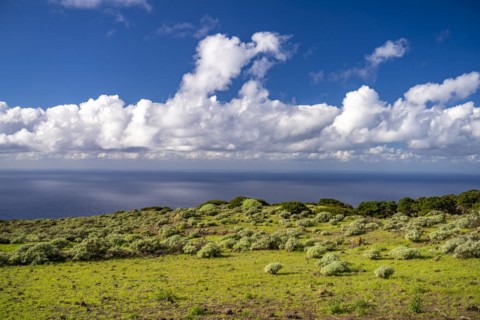 Landscape in the El Sabinar Biosphere Reserve