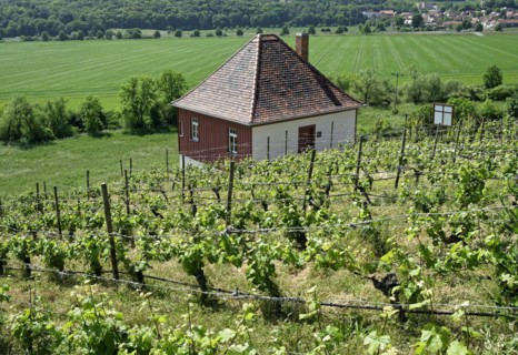 Etching house at the Max-Klinger vineyard