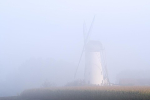 Van Vlaenderensmolen in early morning mist