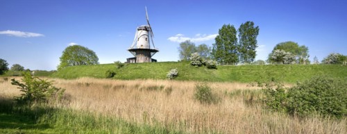 Windmill De Koe