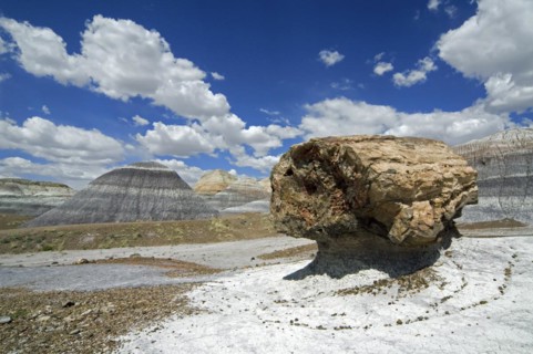 Petrified pedestal log along the Blue Mesa trail in the Painted Desert and Petrified Forest National Park