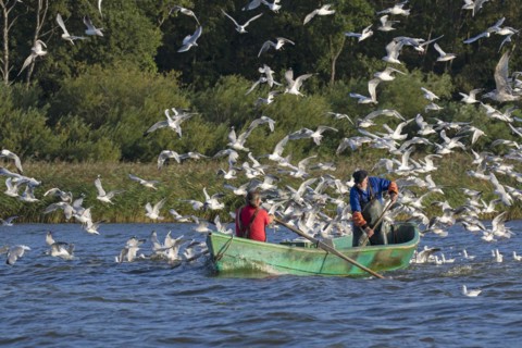 Two fishermen in rowboat