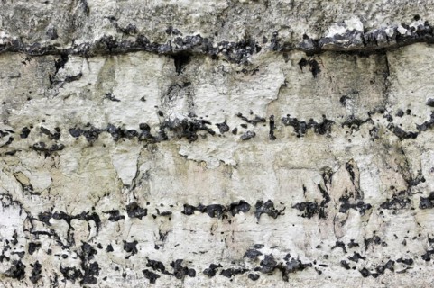 Layers of flint