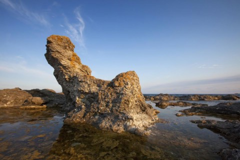 Limestone sea stacks