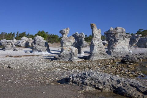 Limestone sea stacks