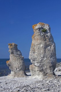 Limestone sea stacks