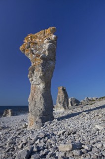 Limestone sea stacks