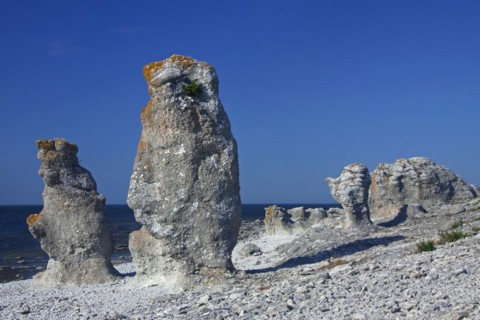 Limestone sea stacks