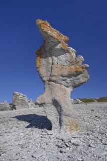 Limestone sea stacks