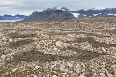 Partially melted and collapsed lithalsas