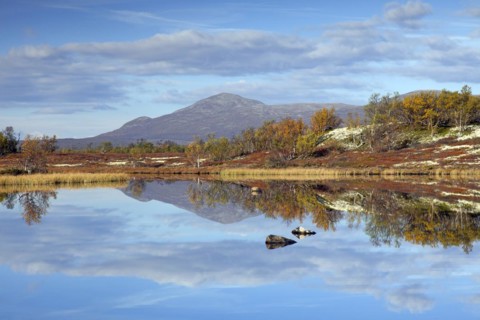 Lake in marshland of the Fokstumyra Nature Reserve in autumn