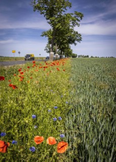 Region Altmark in Saxony-Anhalt