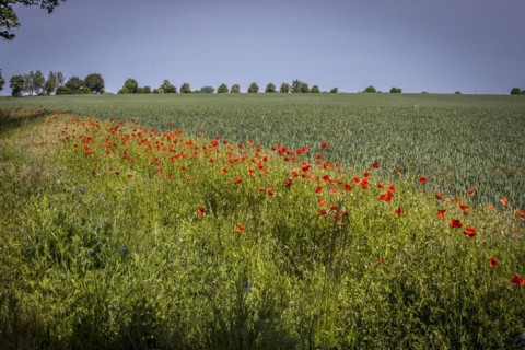 Region Altmark in Saxony-Anhalt