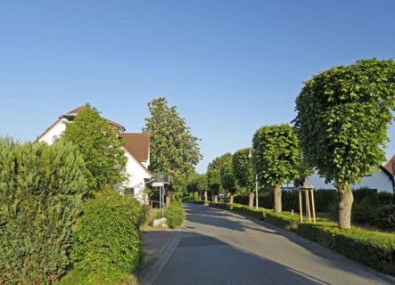 Lindenstraße