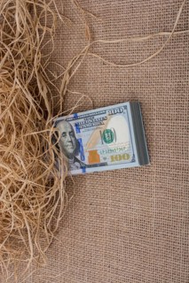 Banknote bundle of US dollar in a straw pile on canvas