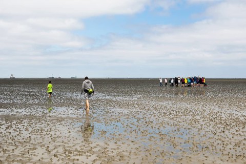 Waders