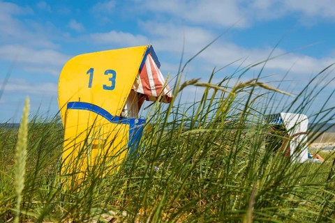 Beach chairs in the dunes