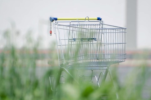 Shopping Cart and Grass