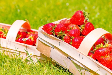 Baskets of strawberry