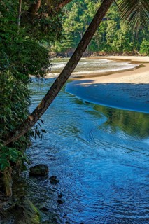 River flowing towards the sea through rainforest at wild deserted beach in Itacare coastal Bahia