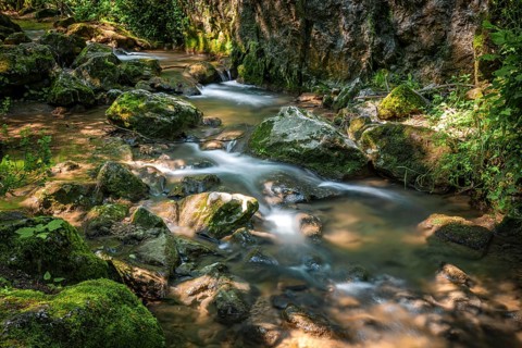 Stream