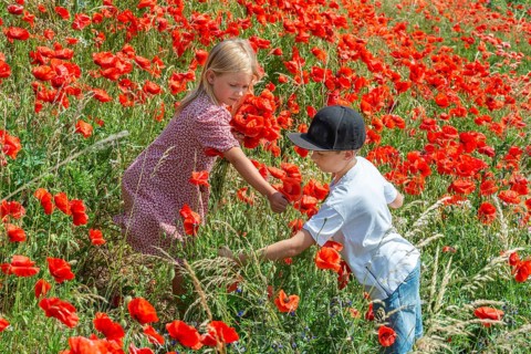 Two children