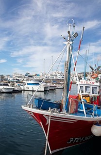 Port in Puerto de las Nieves