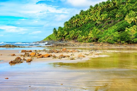 Deserted and rocky beach with forest and coconut trees on top of the hill in Serra Grande in Bahia