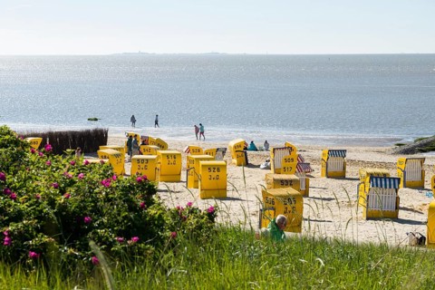 Yellow beach chairs and mudflats