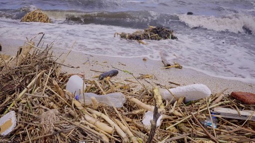 Plastic and other drifting debris has reached Black Sea beaches in Odessa