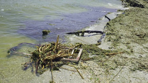 Window frame of house and other drifting debris has reached Black Sea beaches in Odessa