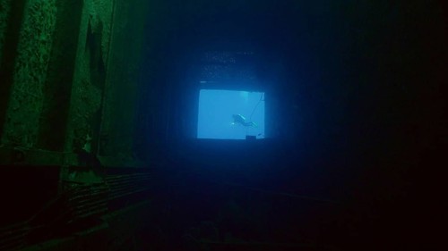 Scuba diver swims in blue water