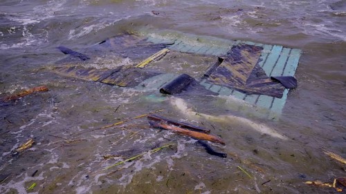 Part of wall of house floats near shore