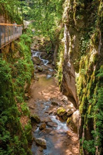 Stream