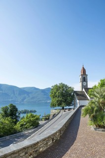 Ronco sopra Ascona and Alpine Lake Maggiore with Mountain and Tree in Ticino