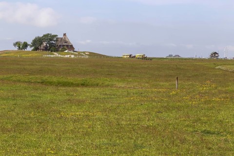 Hallig Hooge