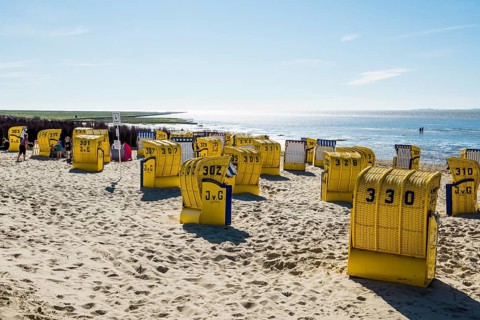 Yellow beach chairs and mudflats