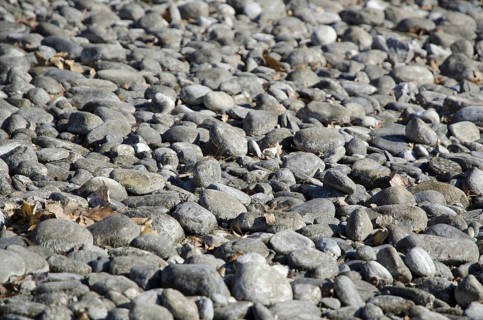Stones on the Beach