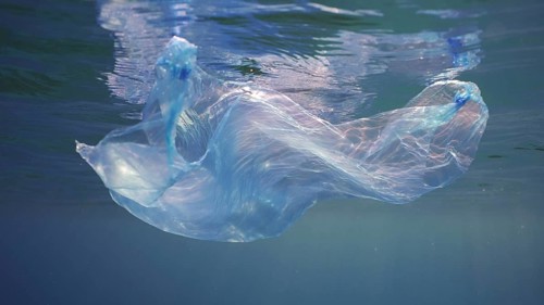 Disposable blue plastic bag floats under surface in blue water in sunrays. Plastic bag thrown into sea drifts under surface of blue water in morning sunlight