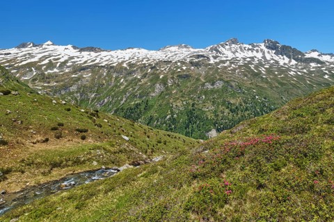 View from Lake Salzboden towards the mountains