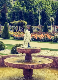 Water gushing off the fountain in the rose garden