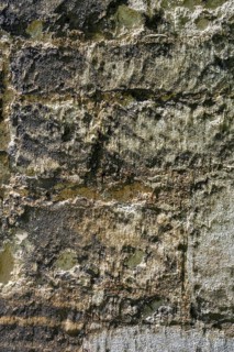 Sandstone masonry units