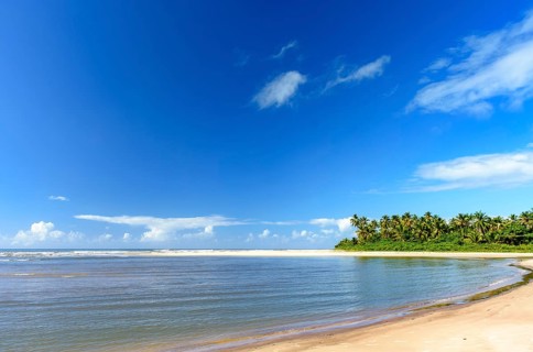 Beautiful Sargi beach surrounded by coconut trees and completely deserted on a summer morning in Serra Grande on the coast of Bahia