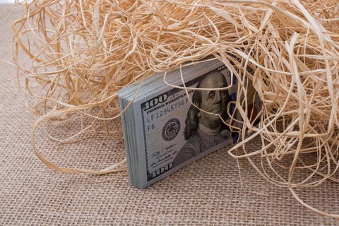 Banknote bundle of US dollar in a straw pile on canvas