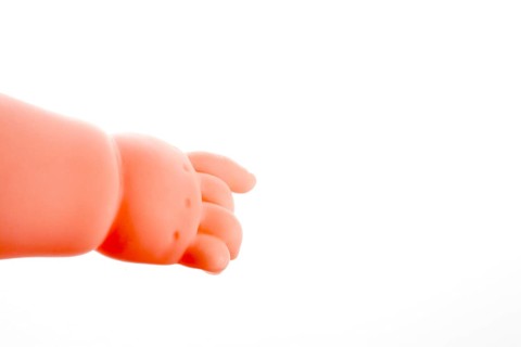 Baby doll's legs on a white background
