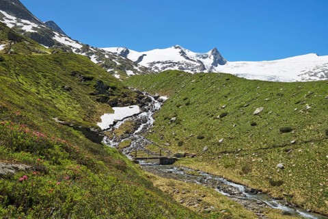Stream with bridge