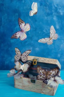 Butterflies flying out of an antique wooden chest against a blue background