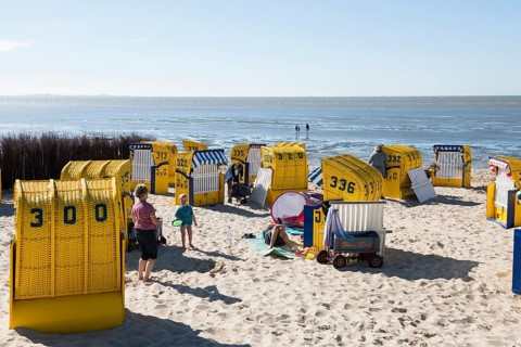 Yellow beach chairs and mudflats